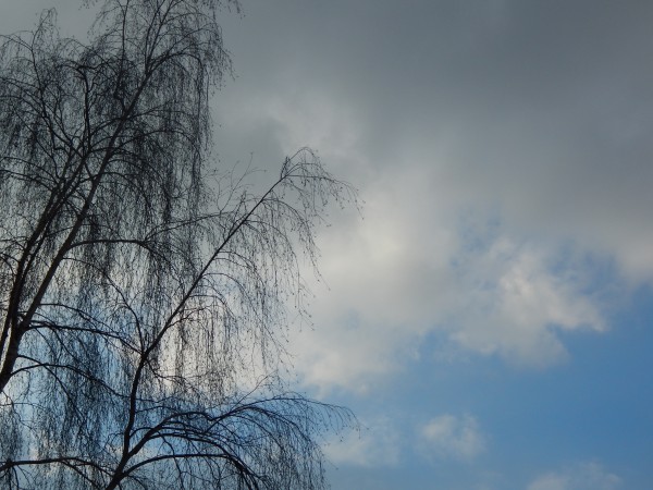 DSCN2328